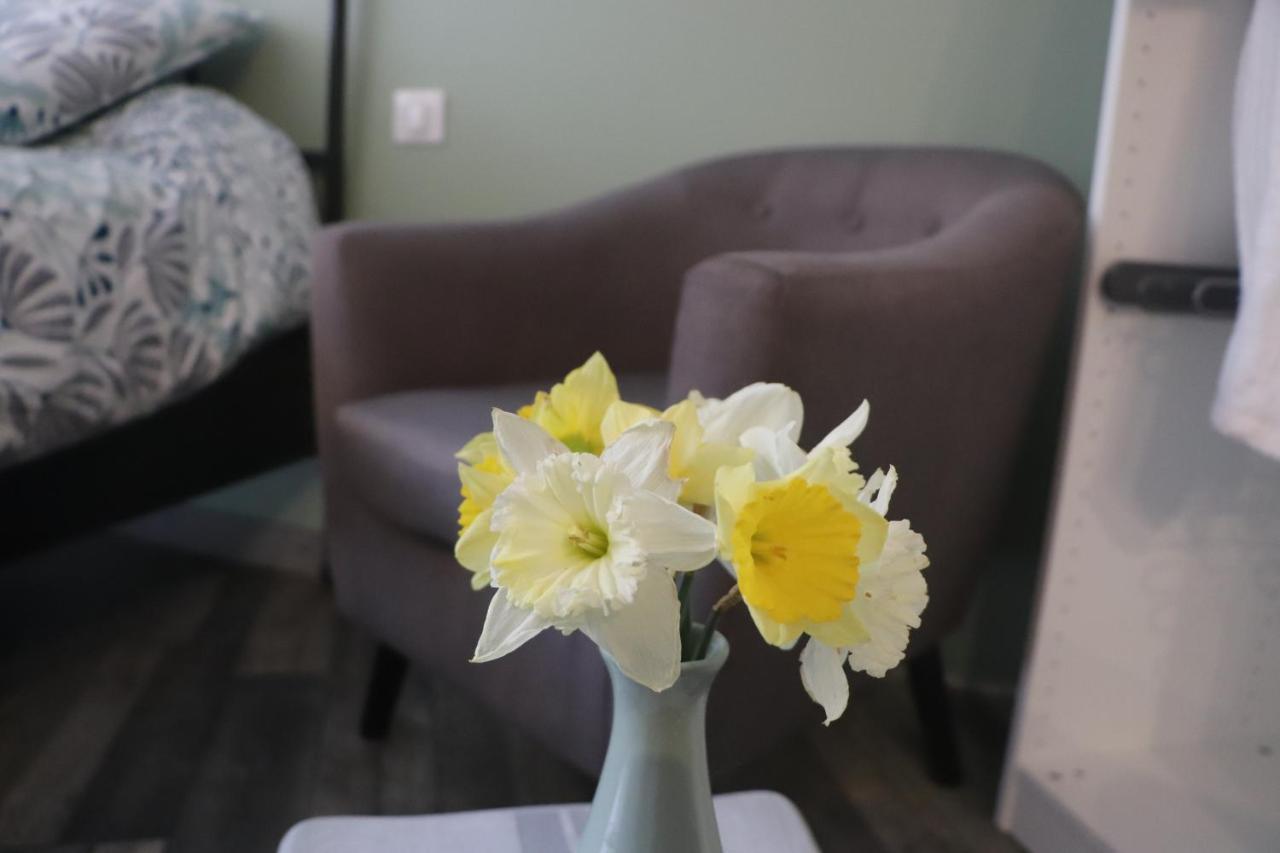 Suite Melody Double Balneo, Home-Cinema, Terrasse A ディエップ エクステリア 写真